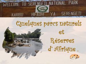 reserves_et_parcs_d_afrique_p_sangarde