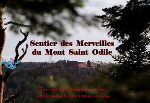 sentier_des_merveilles_du_mont_saint_odile__roland