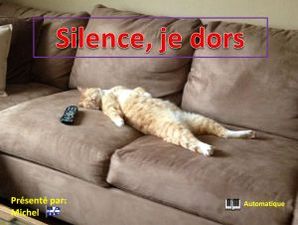 silence_je_dors__michel
