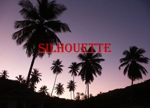 silhouette_4