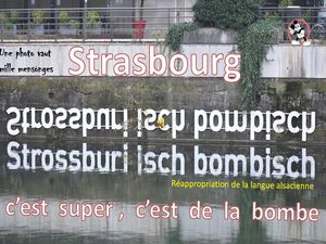 strasbourg_c_est_de_la_bombe__roland