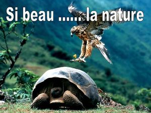 super_beau_la_nature