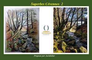 superbes_cevennes_2__jackdidier