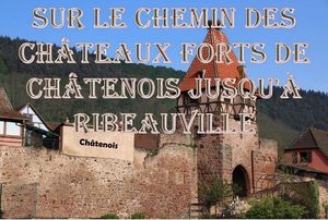 sur_le_chemin_des_chateaux_forts_de_chatenois__roland