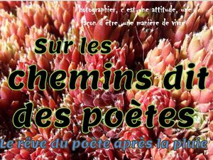 sur_les_chemins_dit_des_poetes_le_reve_du_poete_apres_la_pluie__roland