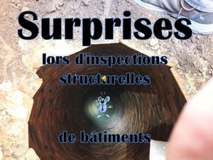 surprises_lors_d_inspections_structurelles_de_batiments_roland