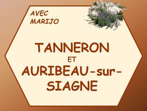 tanneron_auribeau_sur_siagne_marijo