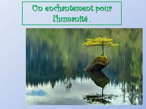 un_enchantement_pour_l_humanite_p_sangarde