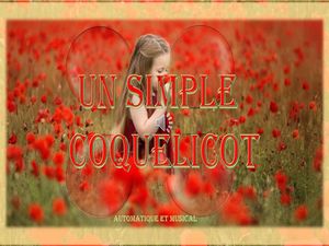 un_simple_coquelicot__gilianne