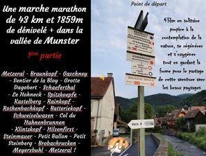 une_marche_marathon_de_43km_et_1859m_de_denivele_a_munster__roland