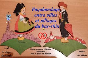 vagabondage_entre_villes_et_villages_du_bas_rhin_2__roland