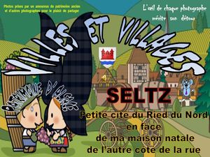 villes_et_villages_d_alsace_seltz_petite_cite_du_ried_nord__roland
