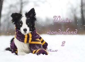 winter_wonderland_2_mimi_40