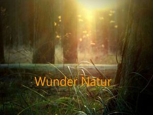 wunder_natur